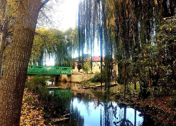 Apartamento Ribera Del Duero Reserva